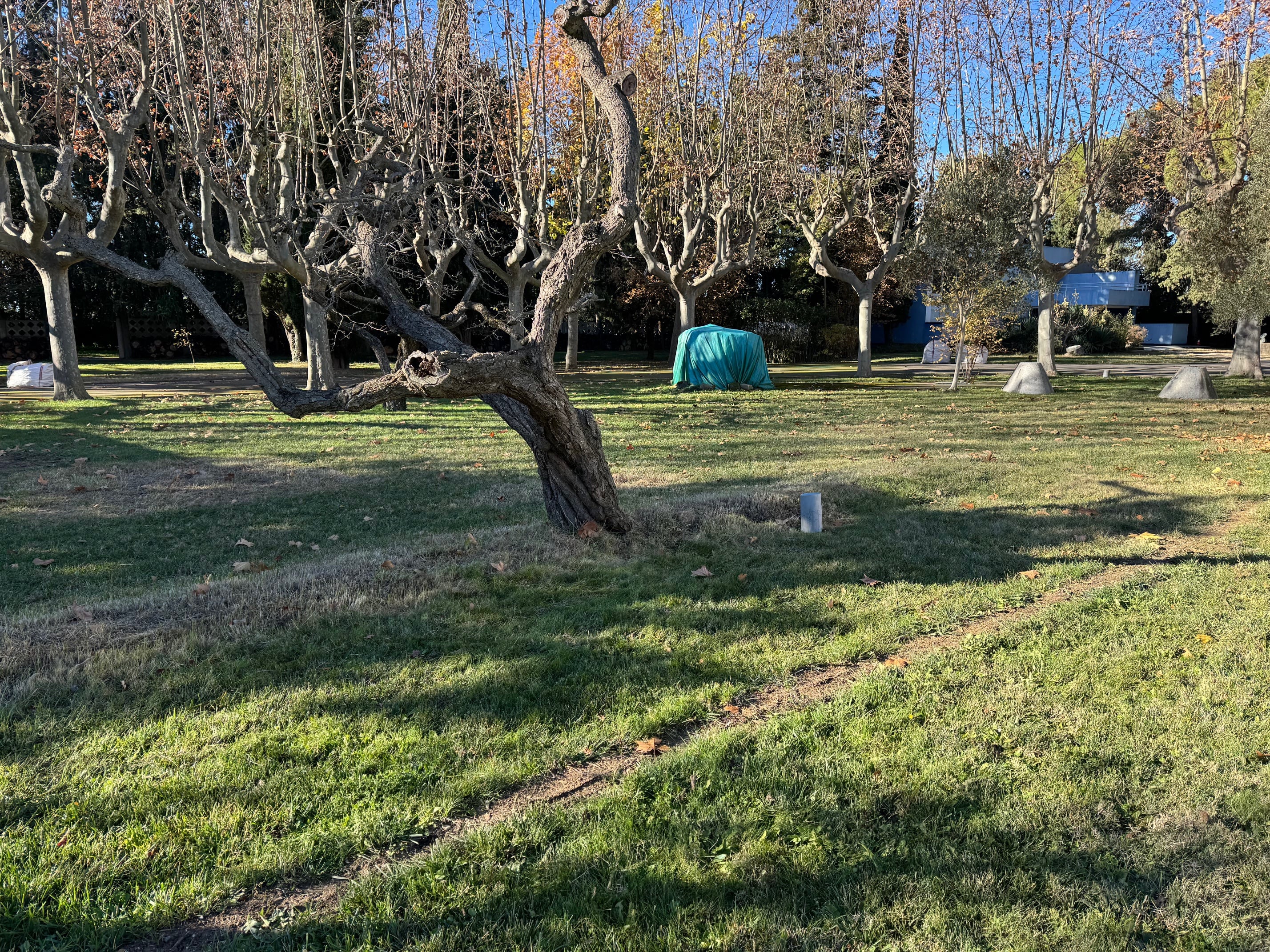 Finalizan las obras de instalación del nuevo sistema de riego automatizado en la Finca Beulas