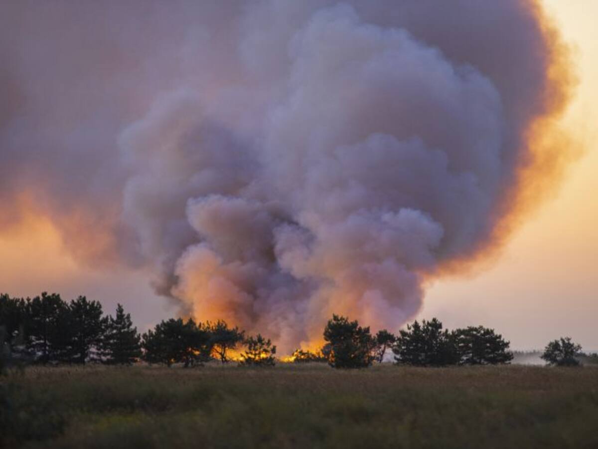 Un incendio intencionado arrasa 6 hectáreas de superficie agrícola en Valdeucieza