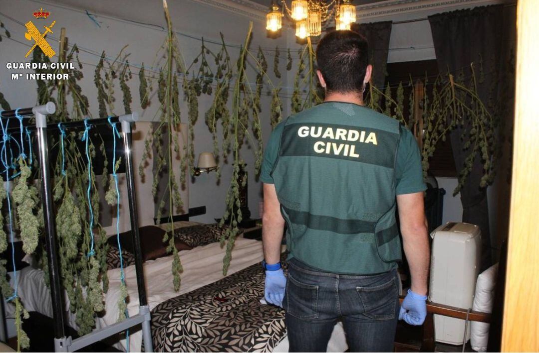 Actuación de la Guardia Civil contra la droga