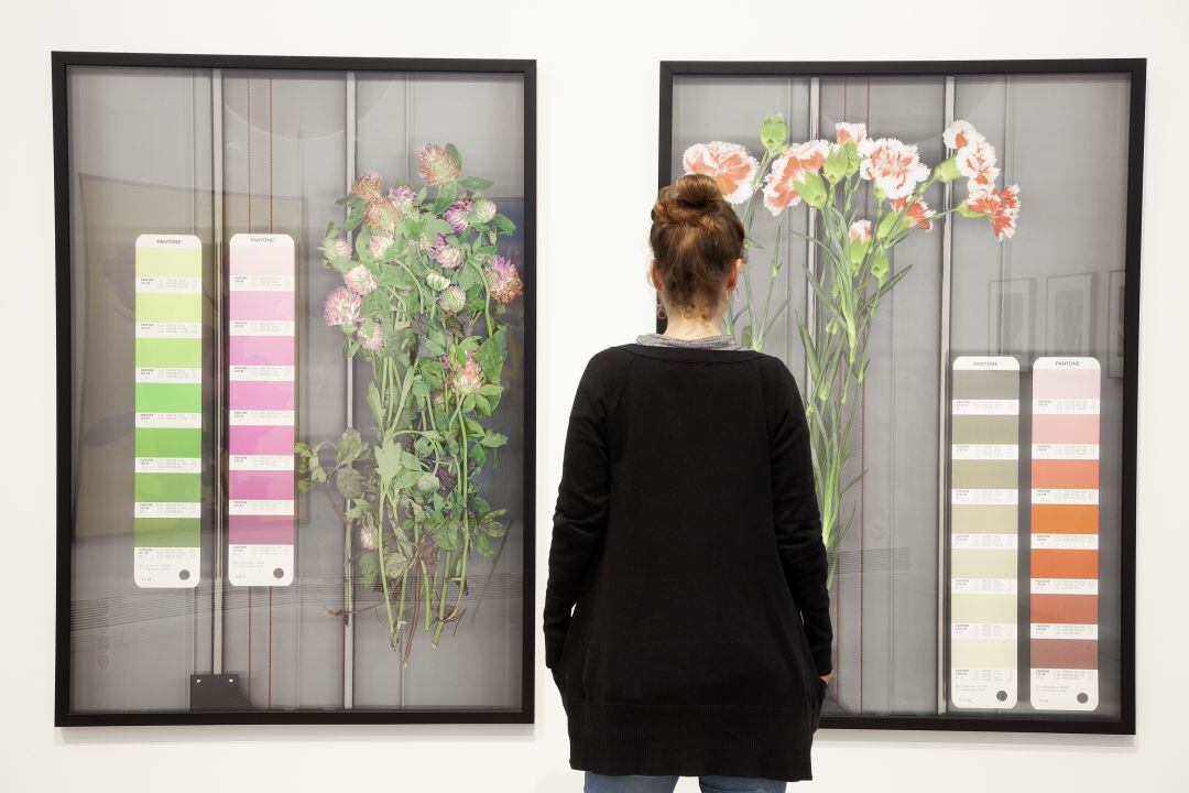 Hiperespacios y Botánicas