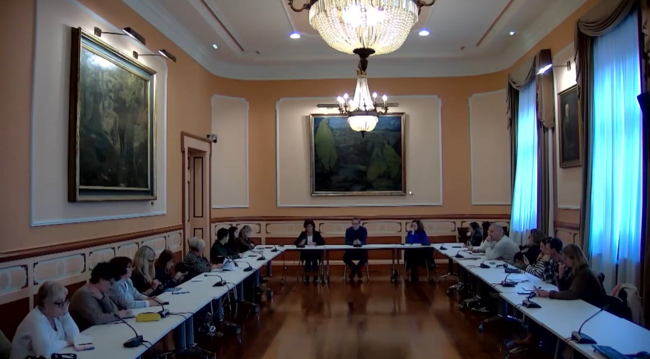 Comisión informativa de Bienestar Social e Igualdad del Ayuntamiento de Irun