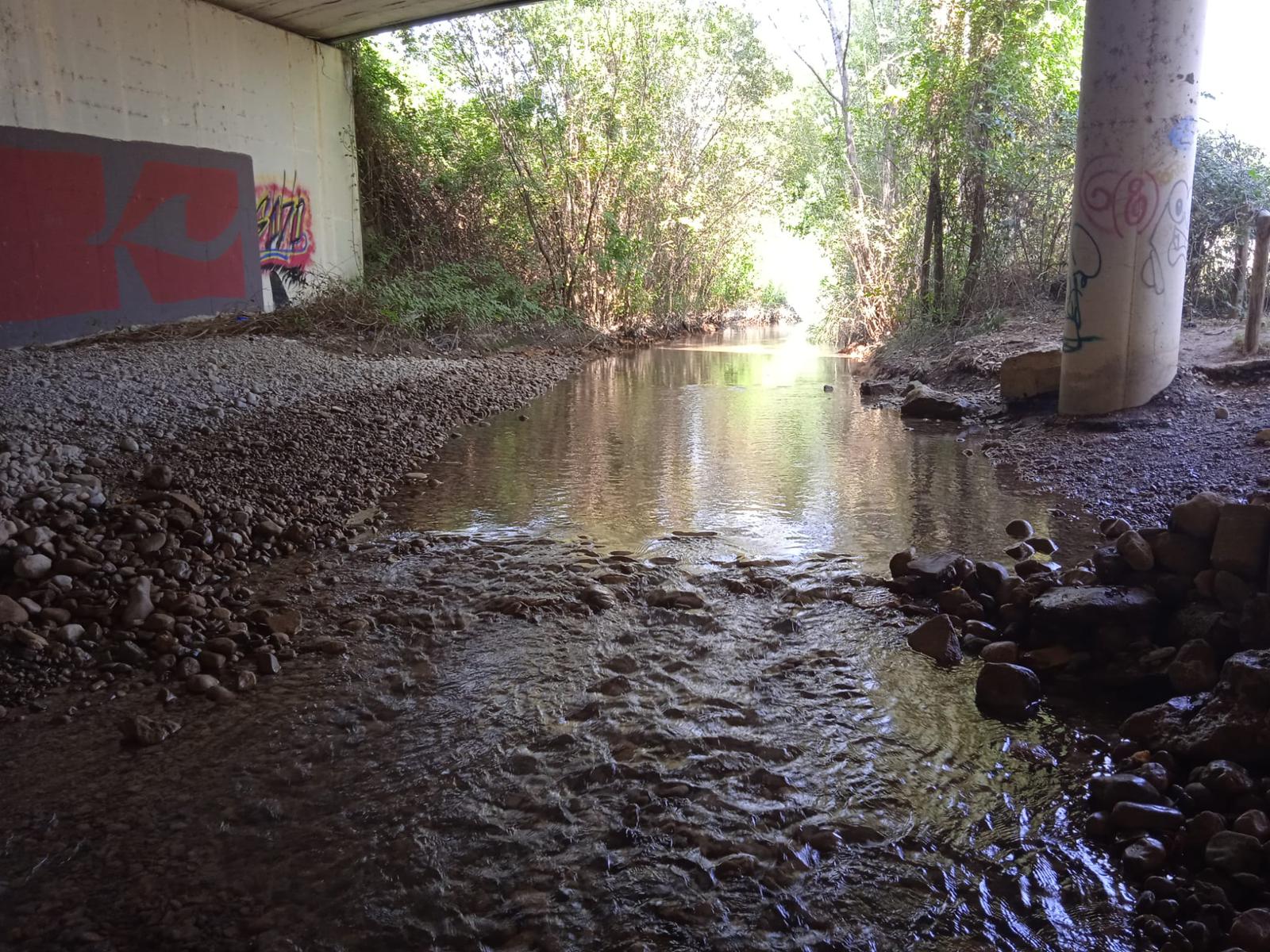 Trabajos de limpieza y desescombro bajo el puente de Pedro Lafuente en Huesca