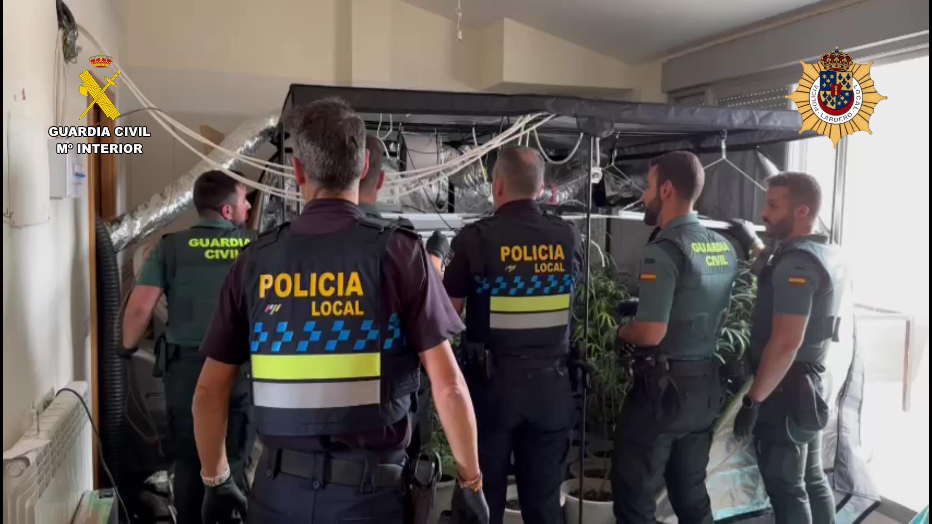 La Guardia Civil desmantela un cultivo de marihuana con 96 plantas en una vivienda de Lardero