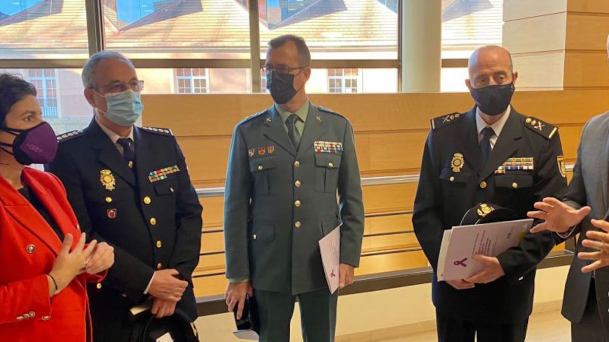 El Gobierno señala que se necesitan más profesionales para nuevos juzgados de violencia de género