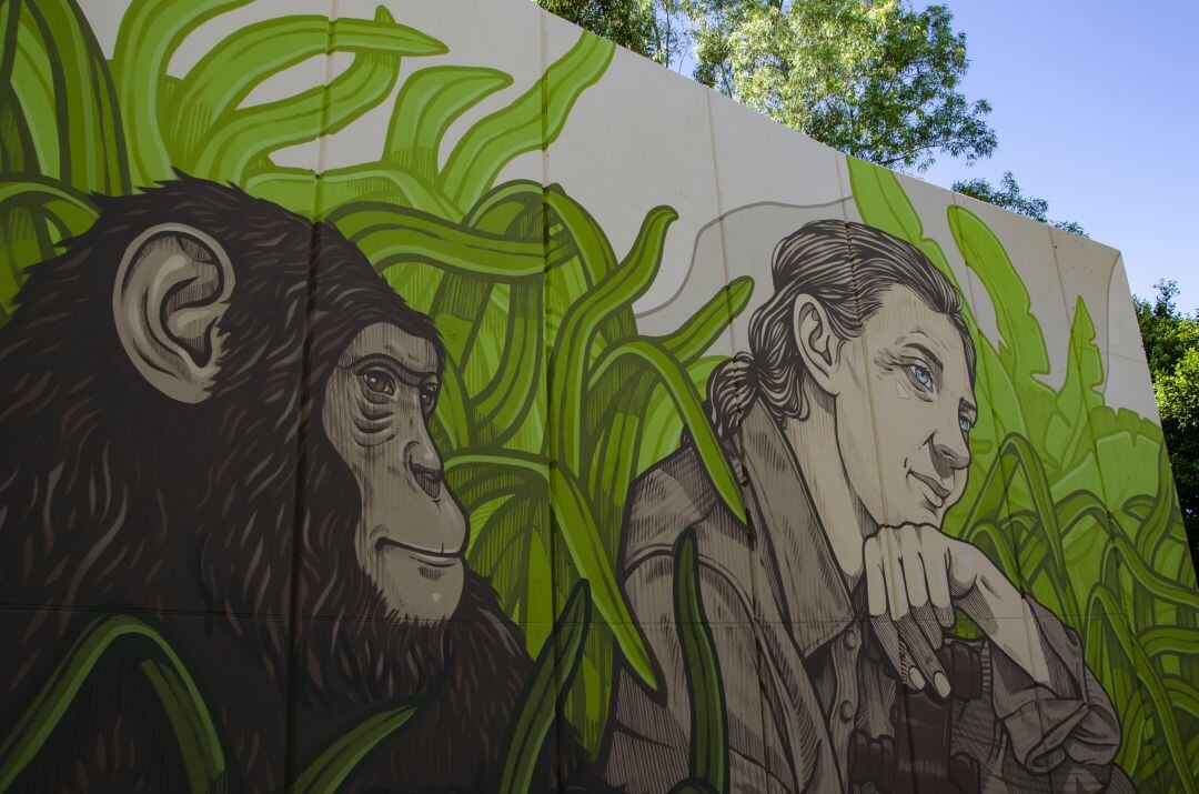 Mural de Jane Godall en Bioparc Valencia