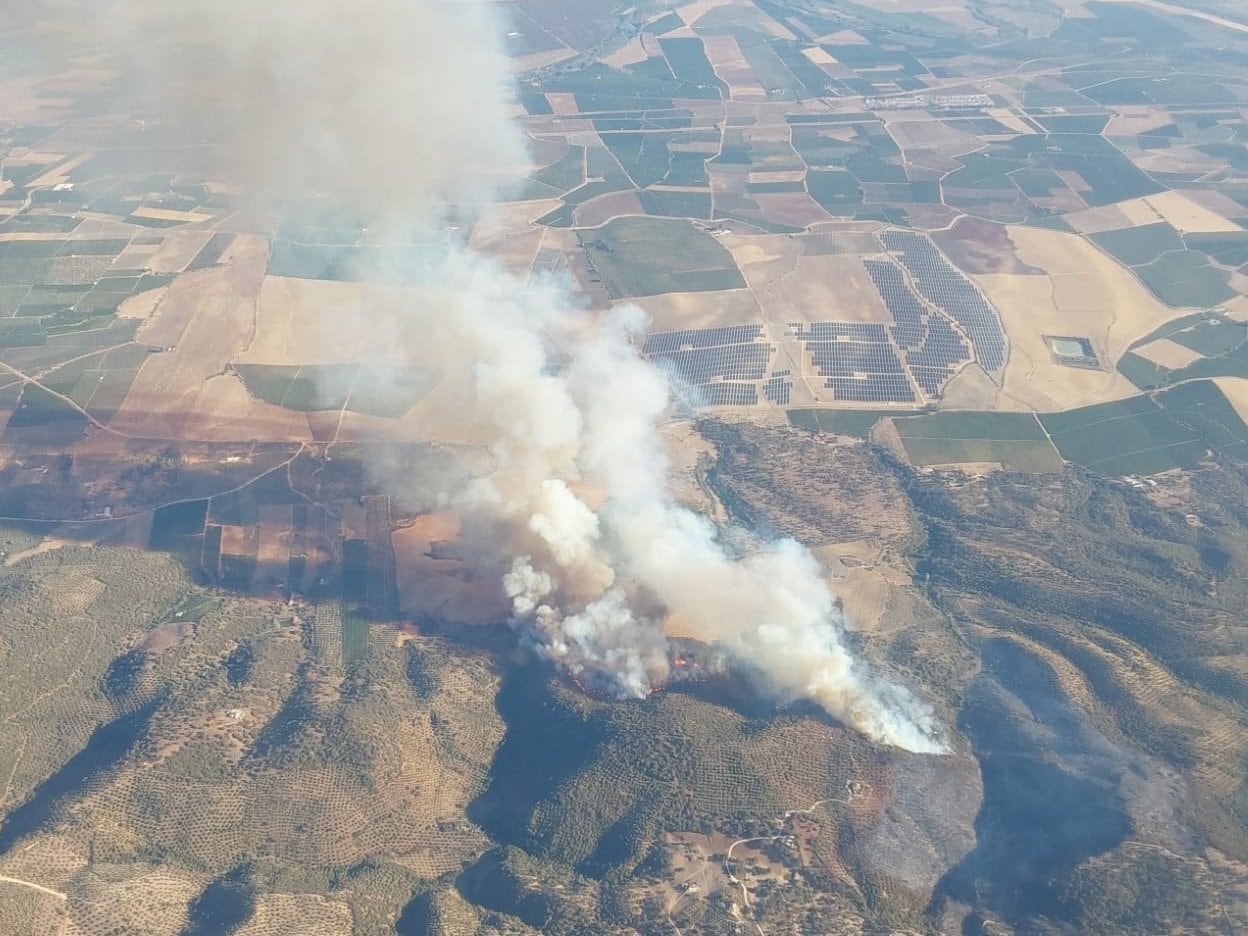 Incendio en Lora del Río