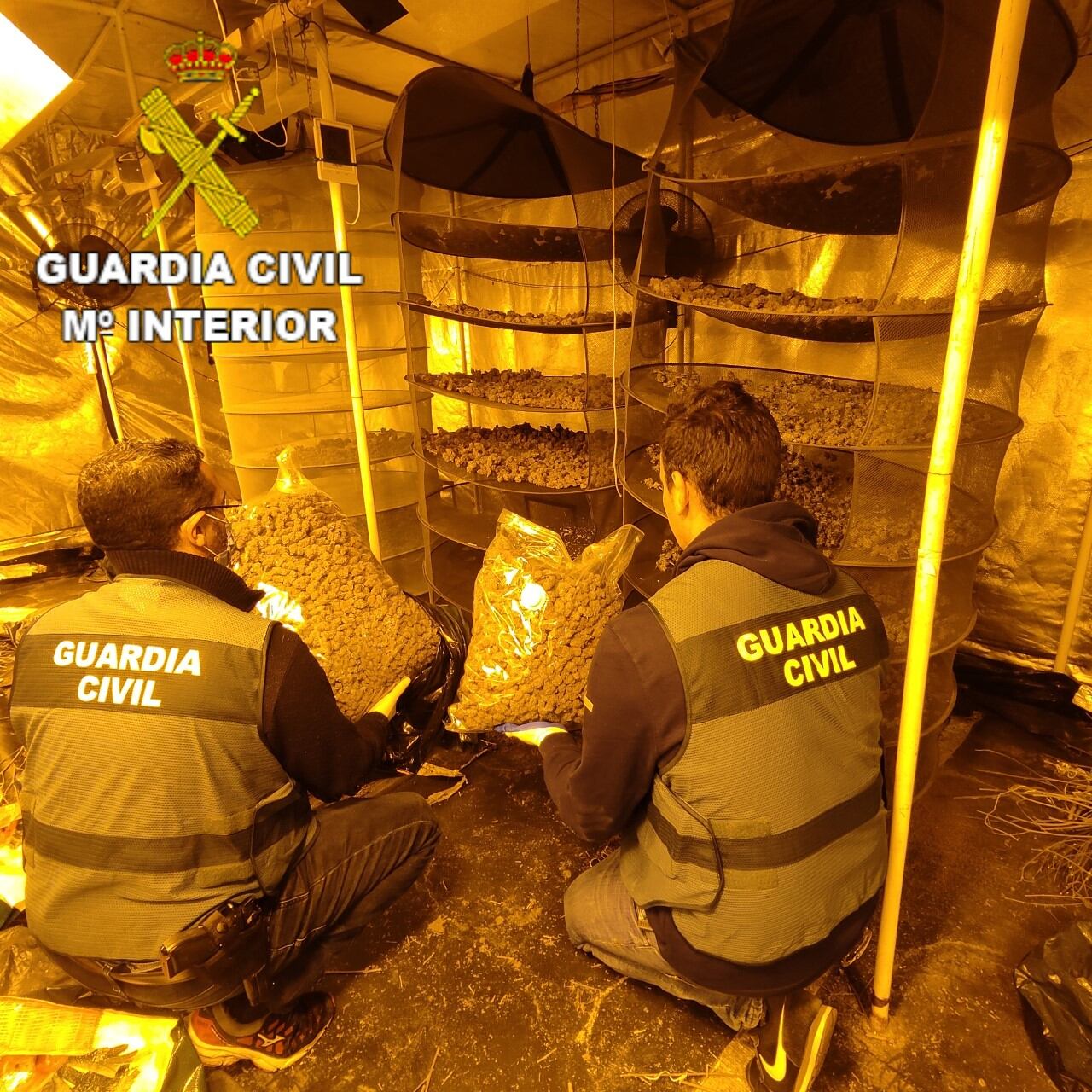 Agentes de la Guardia Civil haciendo el registro en el garage-almacén de Canals donde se cultivaba y almacenaba la droga