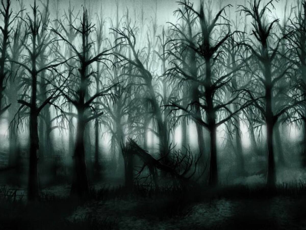 De Elvis Costello a los Hermanos Dalton