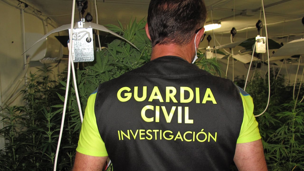 Guardia Civil en plantación de marihuana.