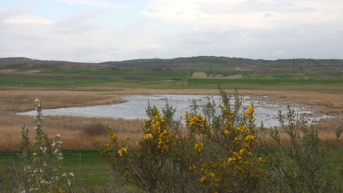 Medio Ambiente rechaza la mega planta solar junto a la Laguna del Juncal en Tafalla