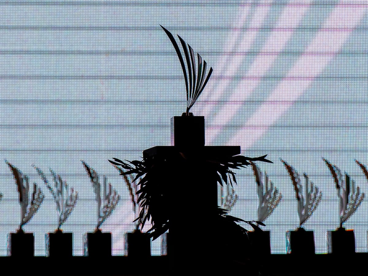 El Unicaja, Amivel, CAB Estepona, Sarah Almagro y Carolina Navarro Premios Andalucía de los Deportes