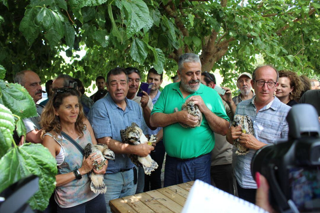 Imagen de junio de 2019, momento de reintroducción de las águilas pescadoras en la Marjal Pego-Oliva.