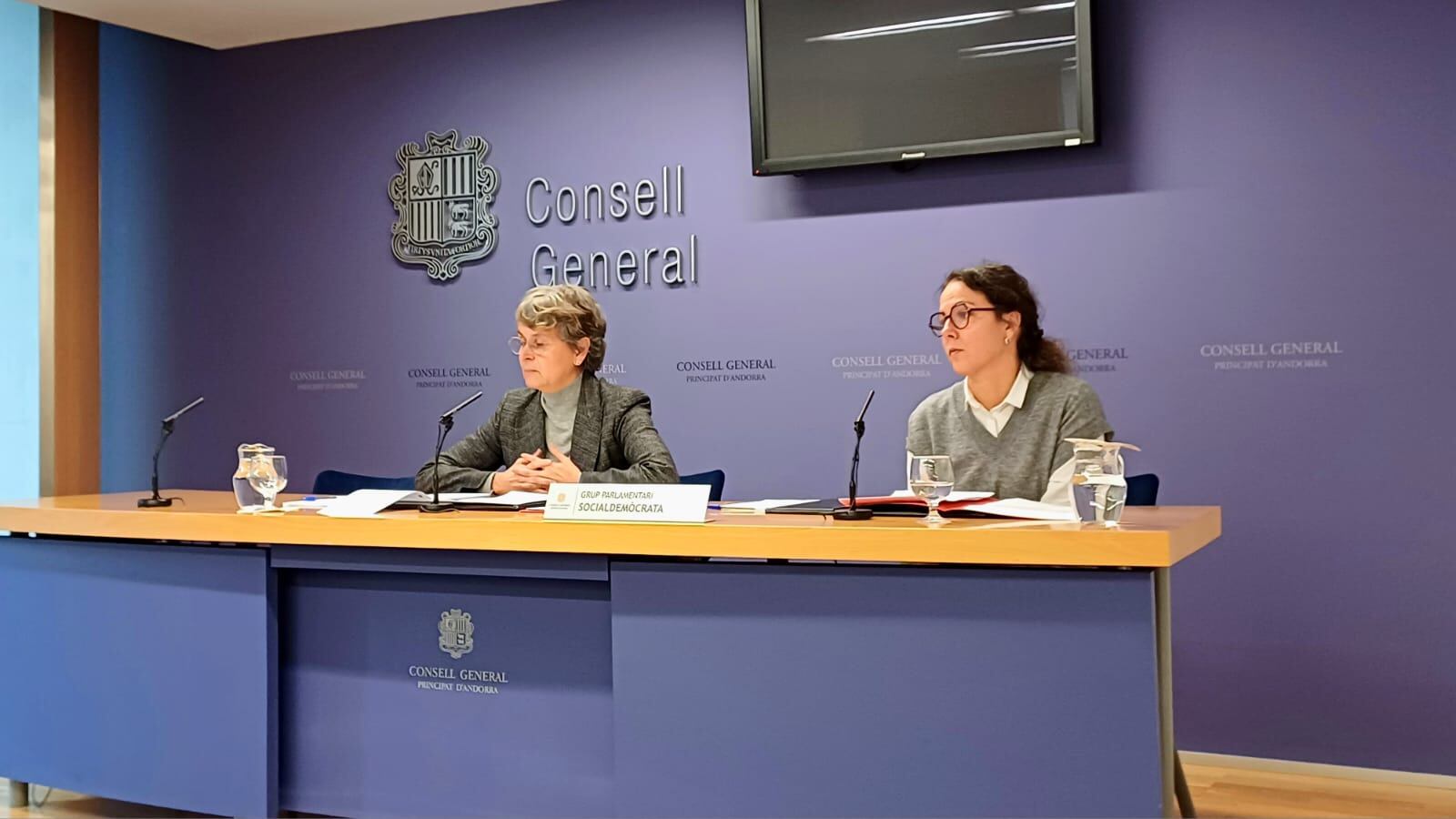 Vela i Salazar durant la presentació de les esmenes a la Llei del català.