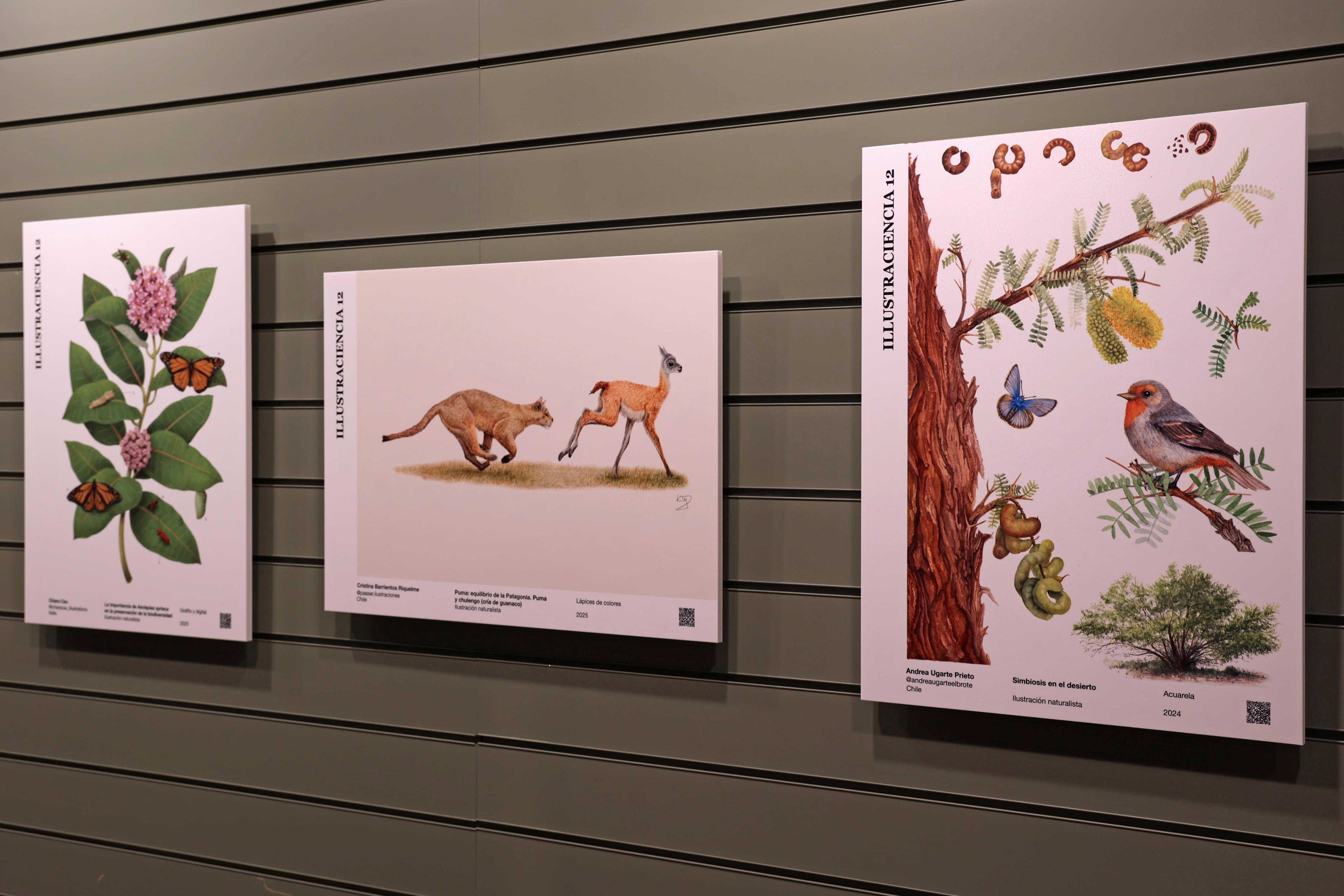 Imágenes de la muestra 'Ilustraciencia 12’