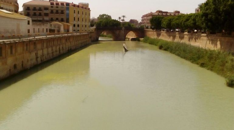 Estado que presentaba el río Segura a su paso por Murcia en julio de 2017.