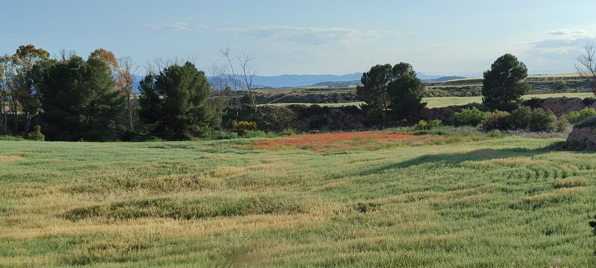 Paraje de Zuñiga en las Tierras Altas de Lorca.