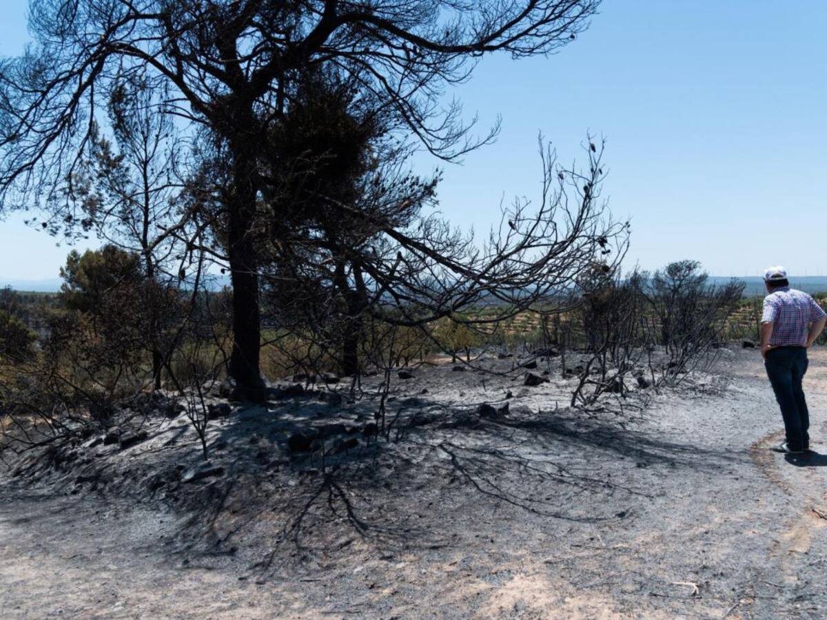 Los bomberos dan por estabilizado el 90% del incendio de Tarragona