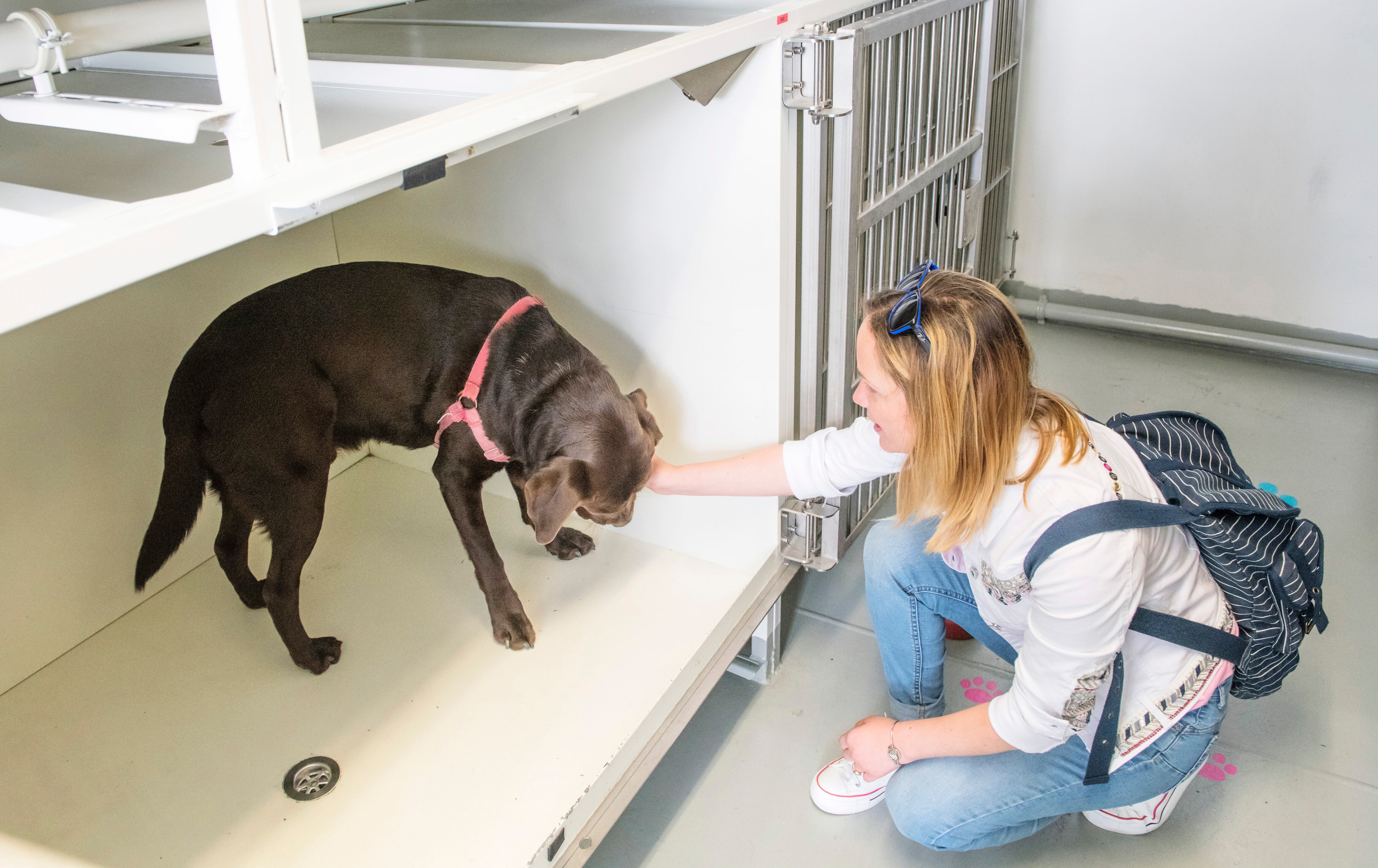 Los animales de compañía también son bienvenidos a bordo en Baleària