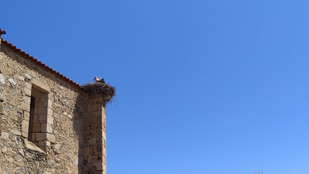 Una cigüeña en su nido en una iglesia