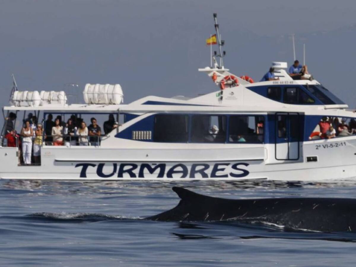 El avistamiento de cetáceos en el Estrecho continúa en pleno apogeo