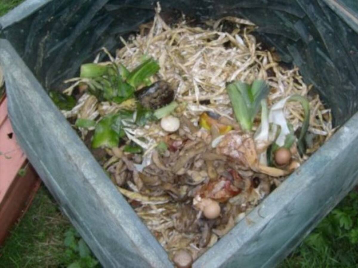 Haciendo compost en el jardín de casa