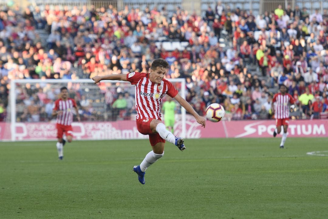 Corpas en el Almería-Granada. 