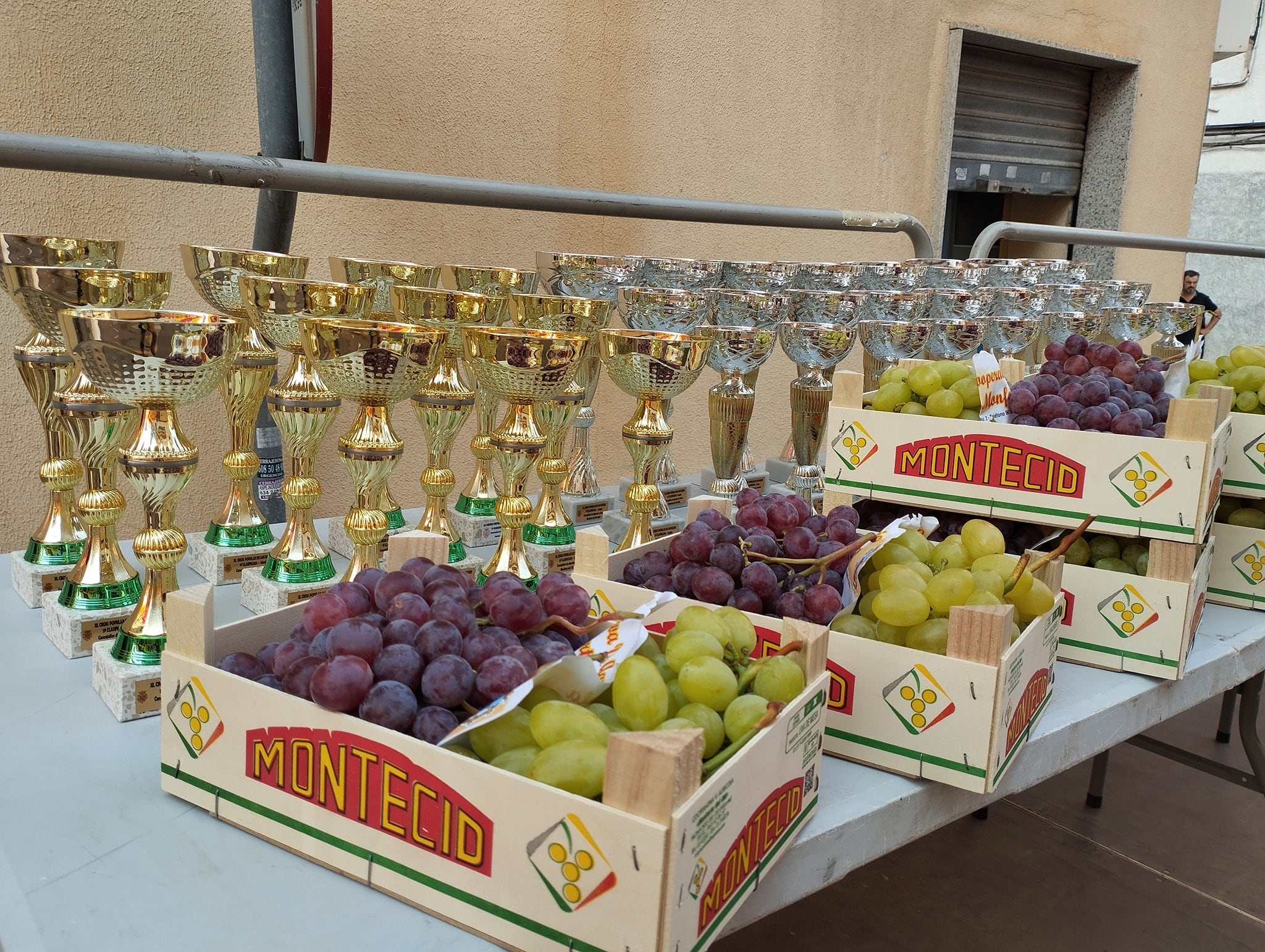 Trofeos y uvas del Vinalopó