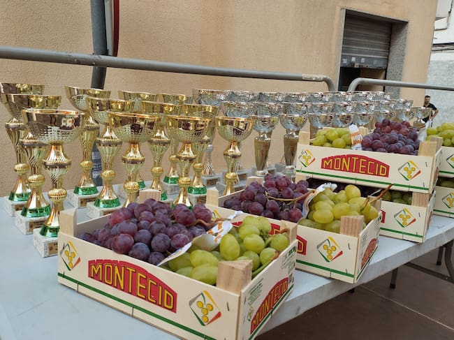 Trofeos y uvas del Vinalopó