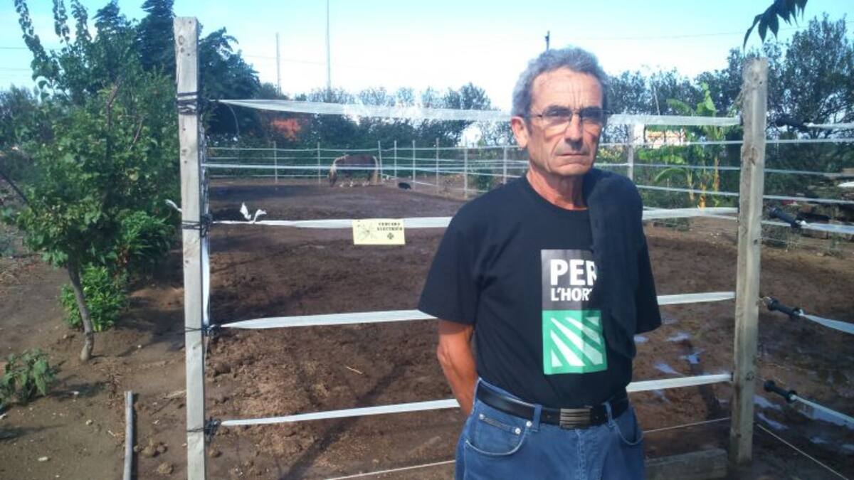 Vicent Martí - 30-09-2015