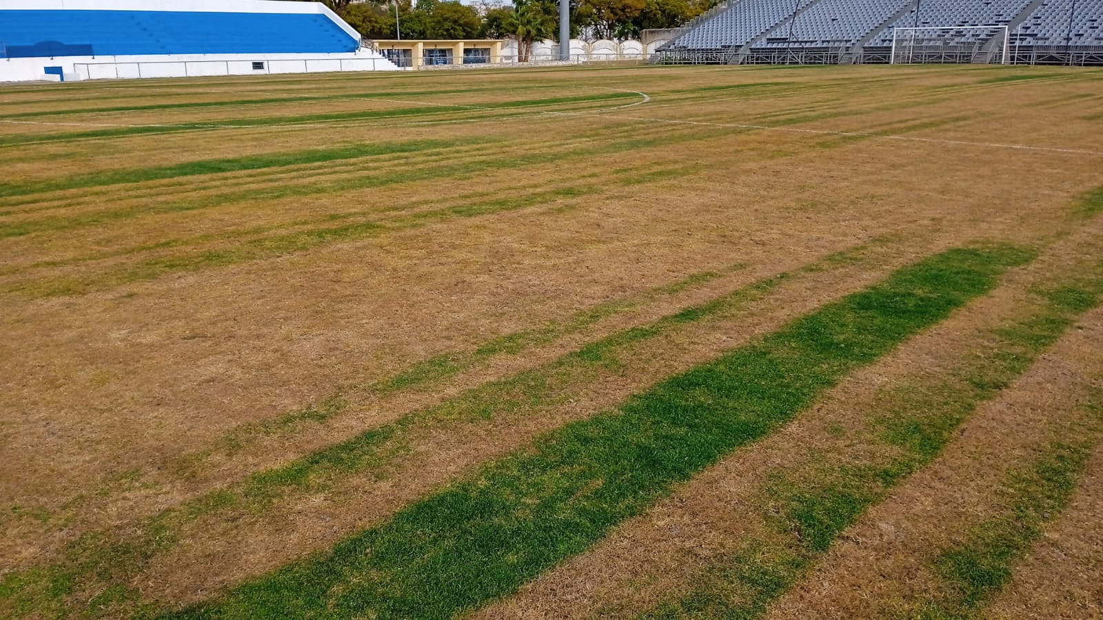 Estado que presenta el campo Pedro S. Garrido