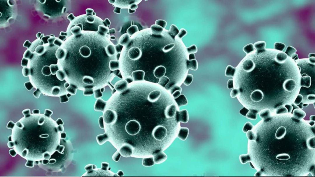 Coronavirus