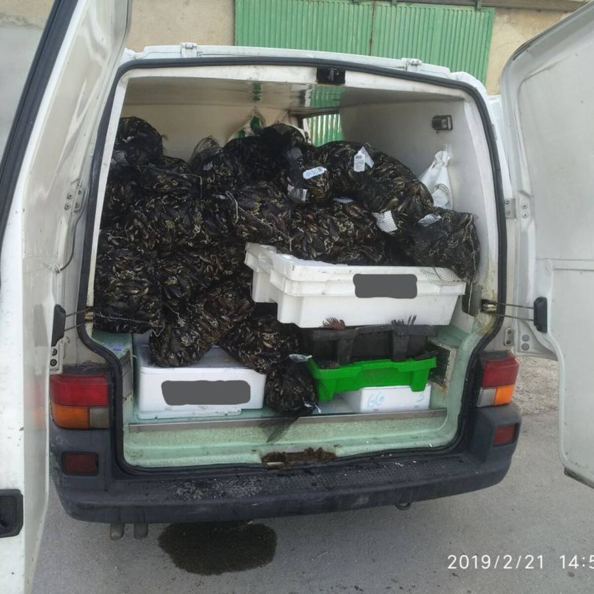 El pescado intervenido en Ponferrada se distribuía en bares y restaurantes