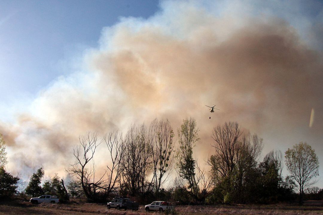 Incendio forestal en la provincia de León