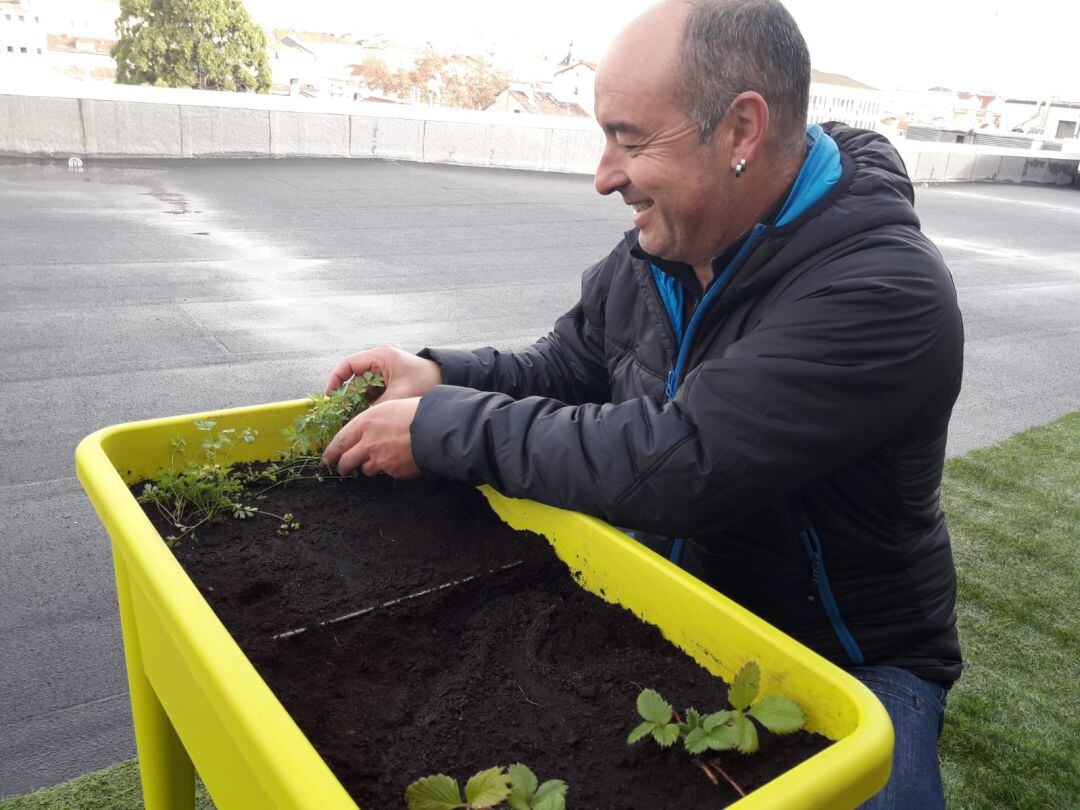 Las primeras plantas ya están en la terraza de la SER