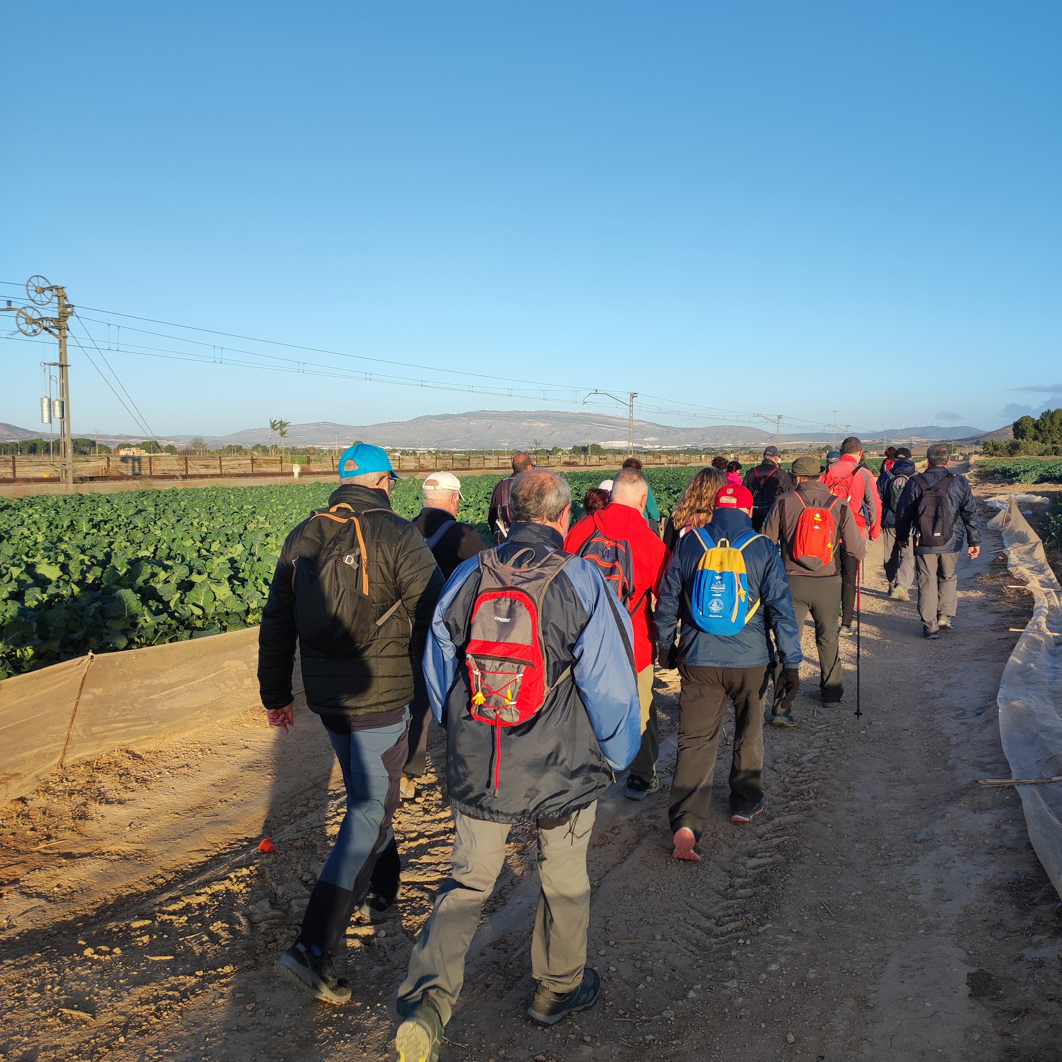 Imágenes de la marcha