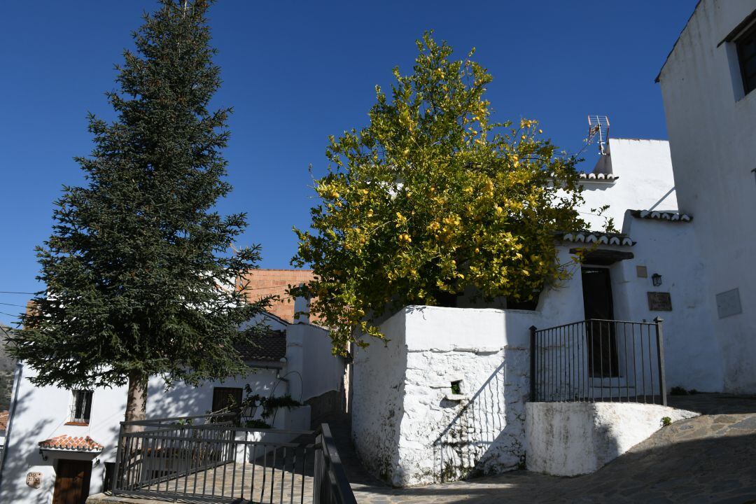 Imagen del casco urbano de Parauta, uno de los municipios del Valle del Genal