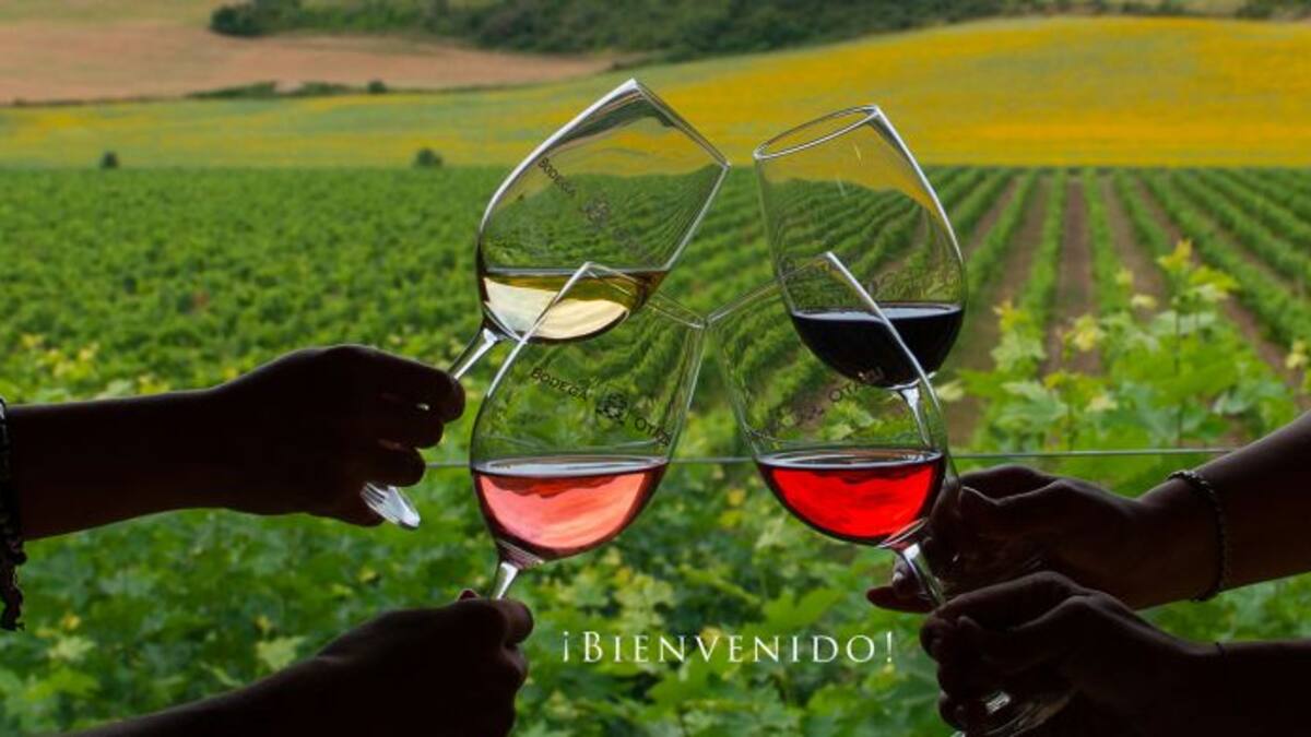 La Ventana de Navarra (23/12/2021)