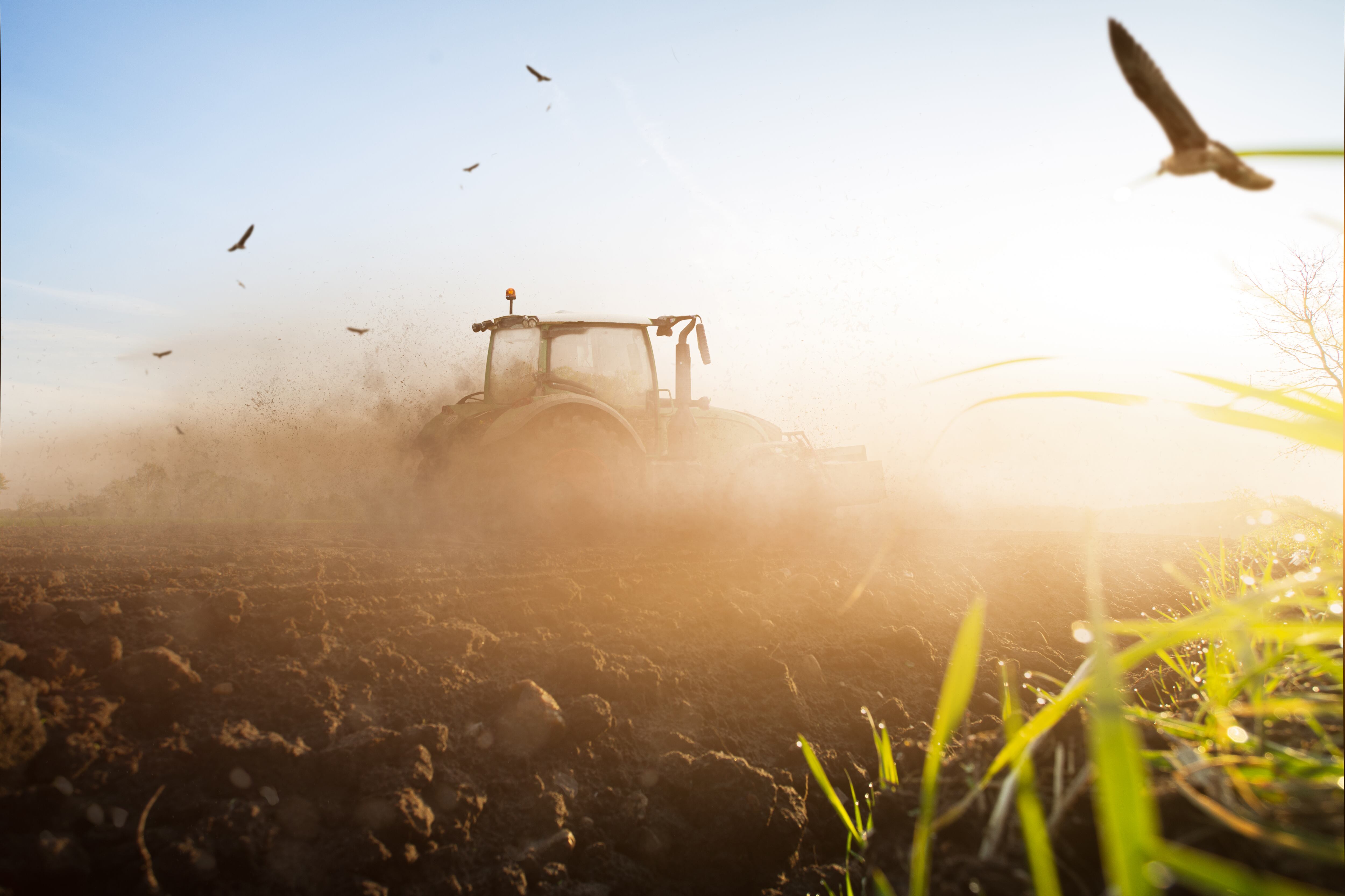 Tractor trabajando en una tierra