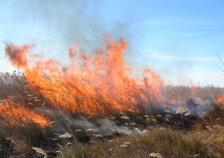 Ara s'han de fer moltes cremes controlades que no s'han pogut fer durant l'hivern.