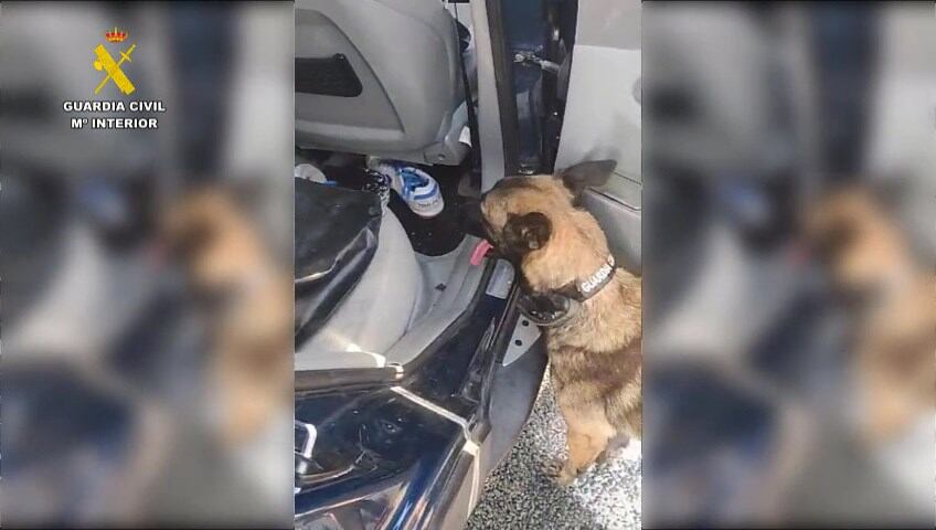 Droga detectada por la Guardia Civil
