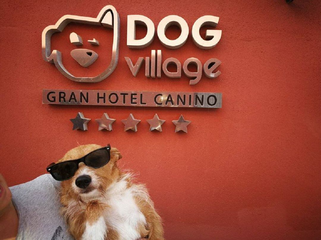 Hotel Canino Dog Village