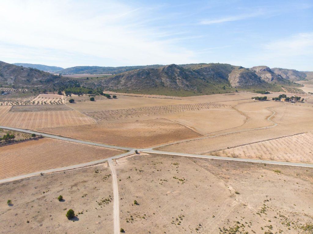 Terrenos afectados por la llegada de las fotovoltaicas
