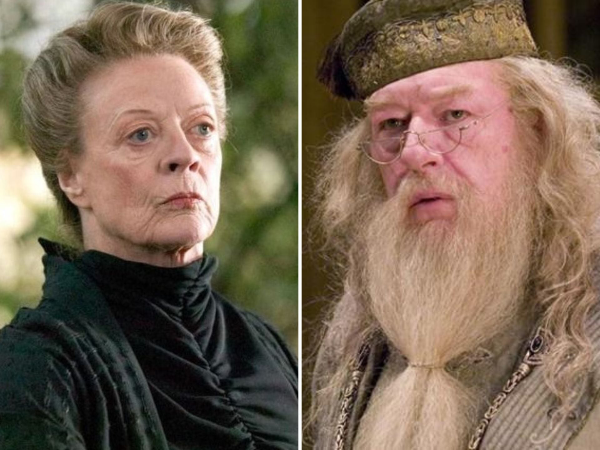 Maggie Smith y Michael Gambon compartieron protagonismo en varias películas de la saga &#039;Harry Potter&#039;