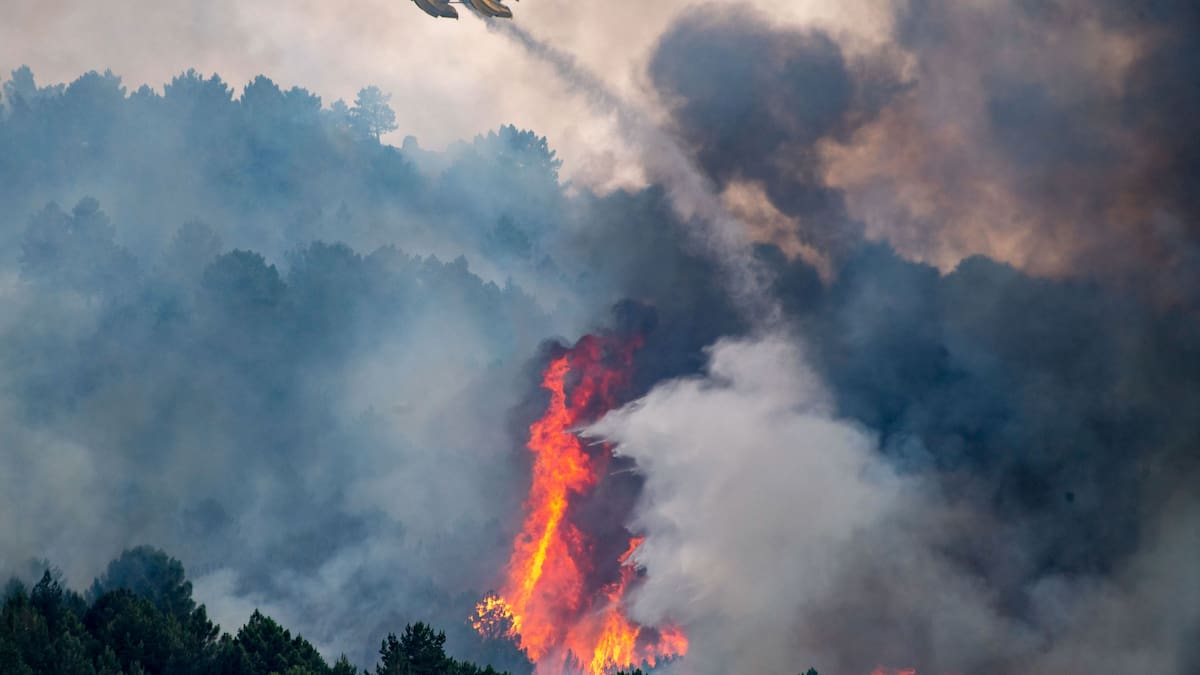 Hablamos con Simón Cortés, portavoz de ARBA, sobre la preocupación por el riesgo extremo de incendio en el norte de Madrid