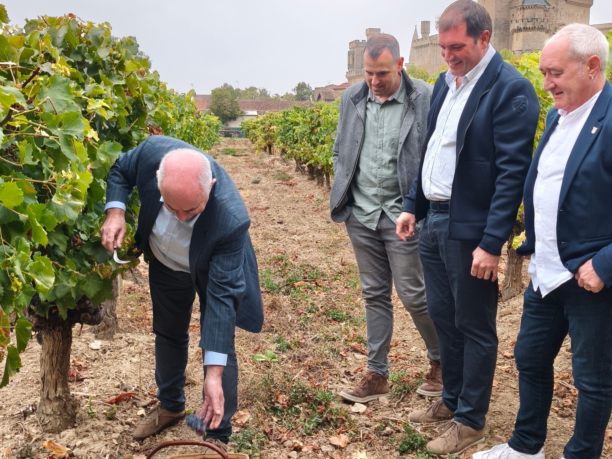 El consejero de desarrollo rural,  José Mari Aierdi, ha cortado el último racimo de la vendimia en la Denominación de Origen Navarra