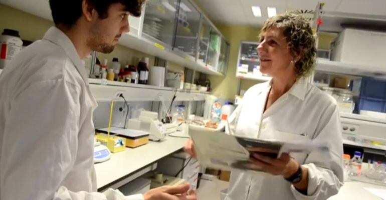 Uno de los vídeos de Prevención de Riesgos Laborales