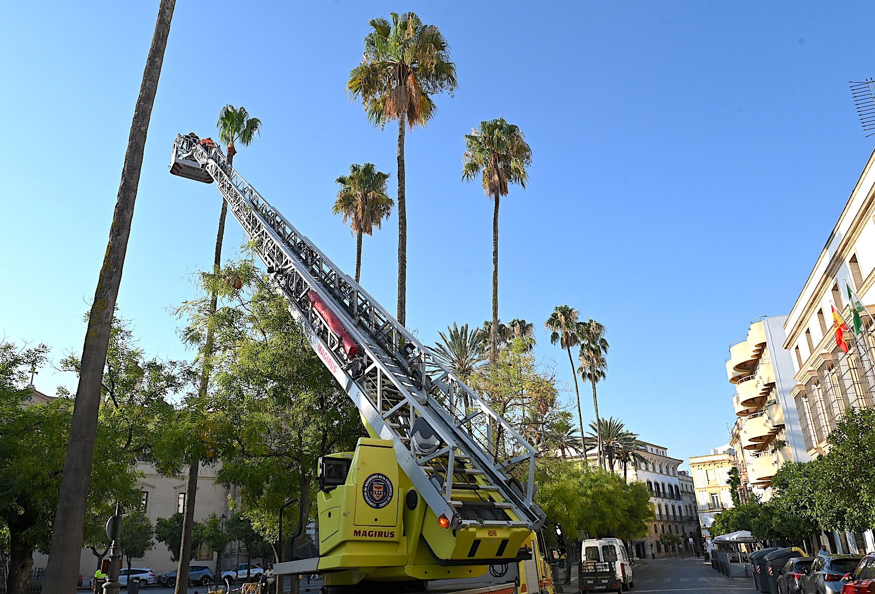 Poda de palmeras en la Alameda Cristina