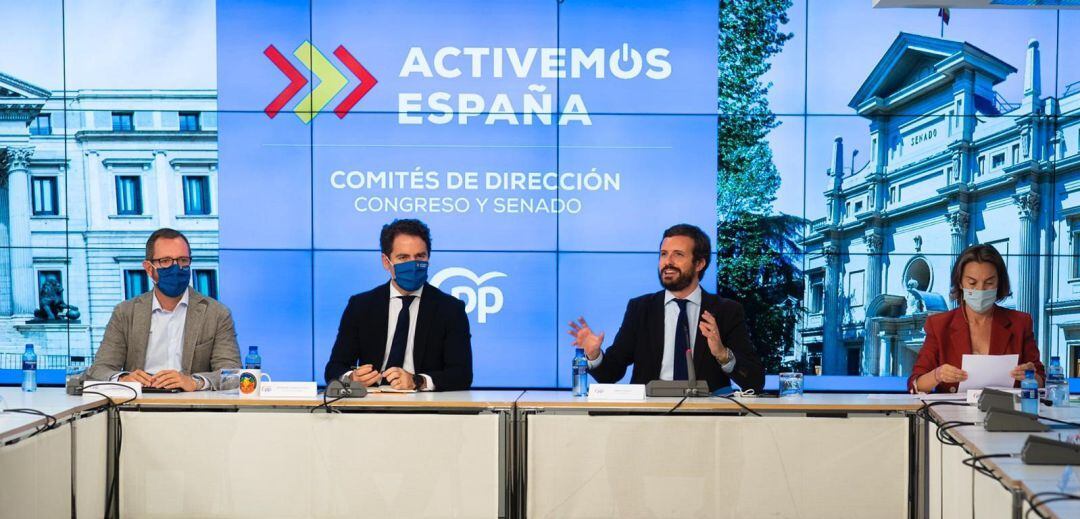 El presidente del PP, Pablo Casado, preside la reunión con los comités de dirección del Grupo Popular.