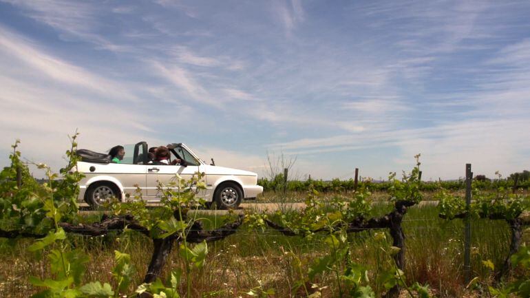 La carretera del vino es un trazado con 12 bodegas al estilo de las &#039;wine-road&#039; de California. 