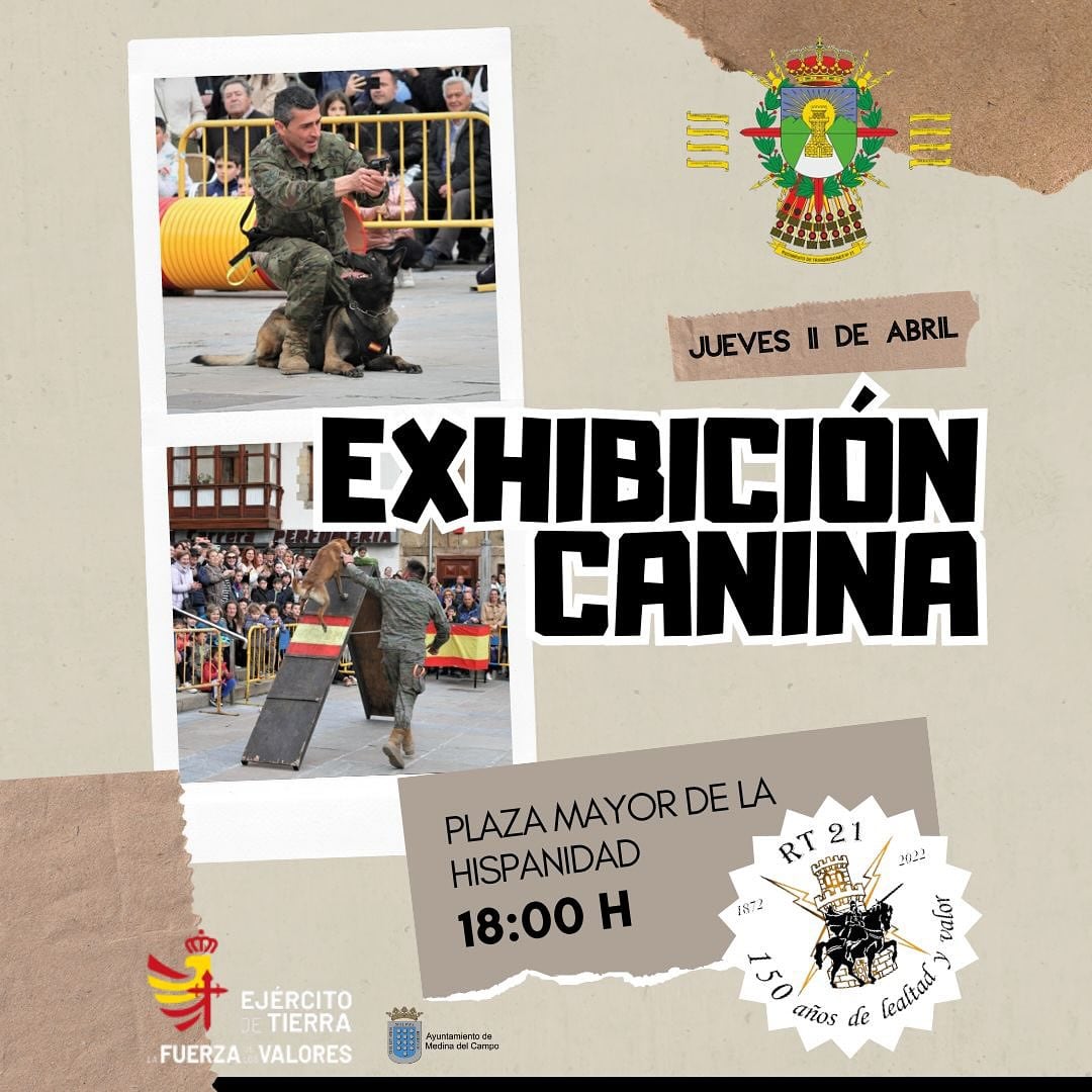 Exhibición del Ejército de Tierra en Medina